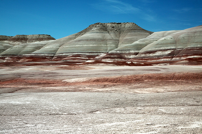 Bison : Antelope Island : Utah : Landscape Photos : Richard Moore : Photographer